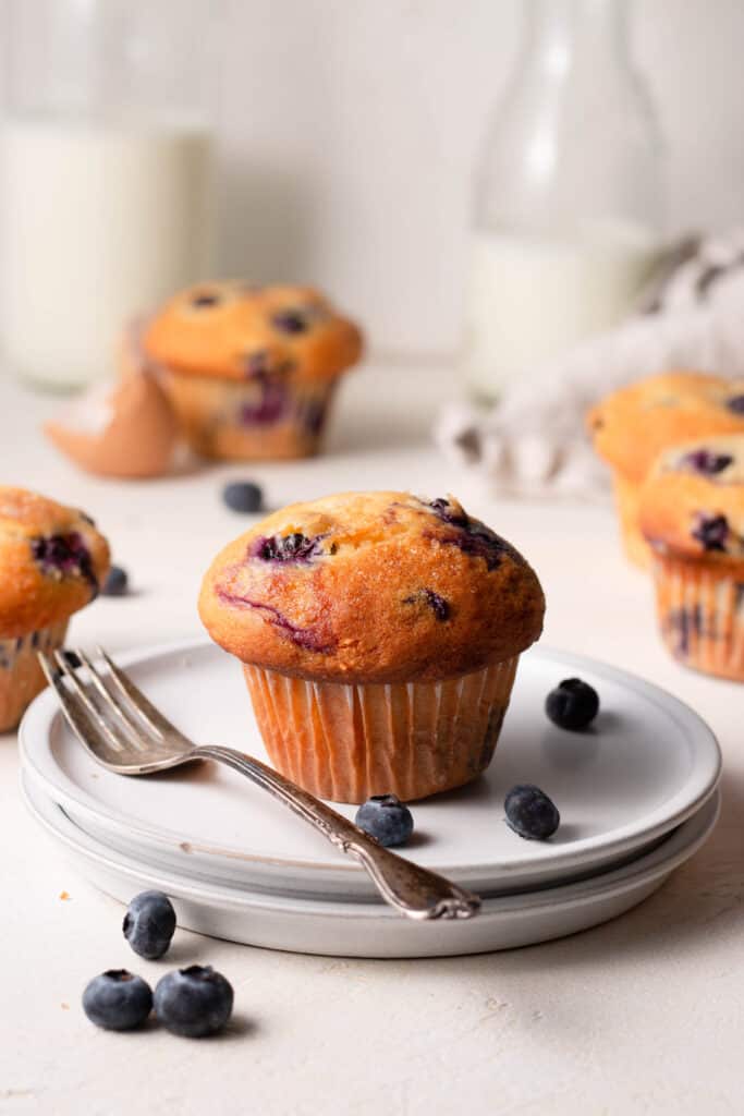 blueberry muffin on a plate with a fork