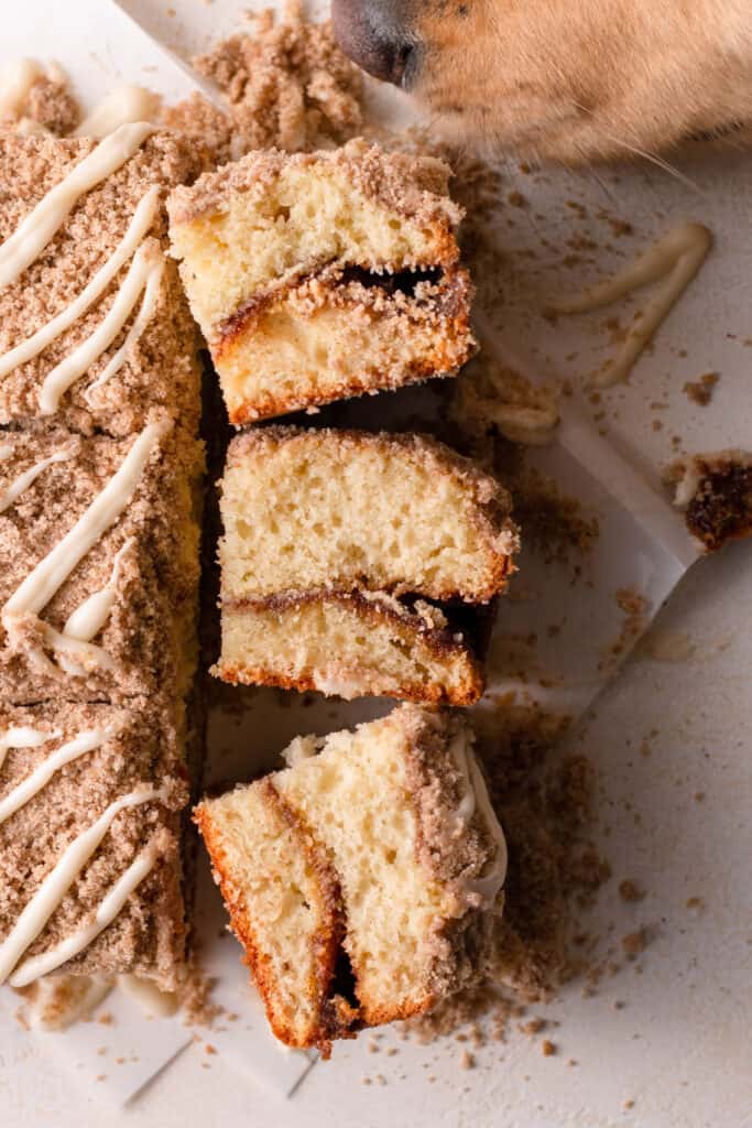 dog sniffing coffee cake slices on a board