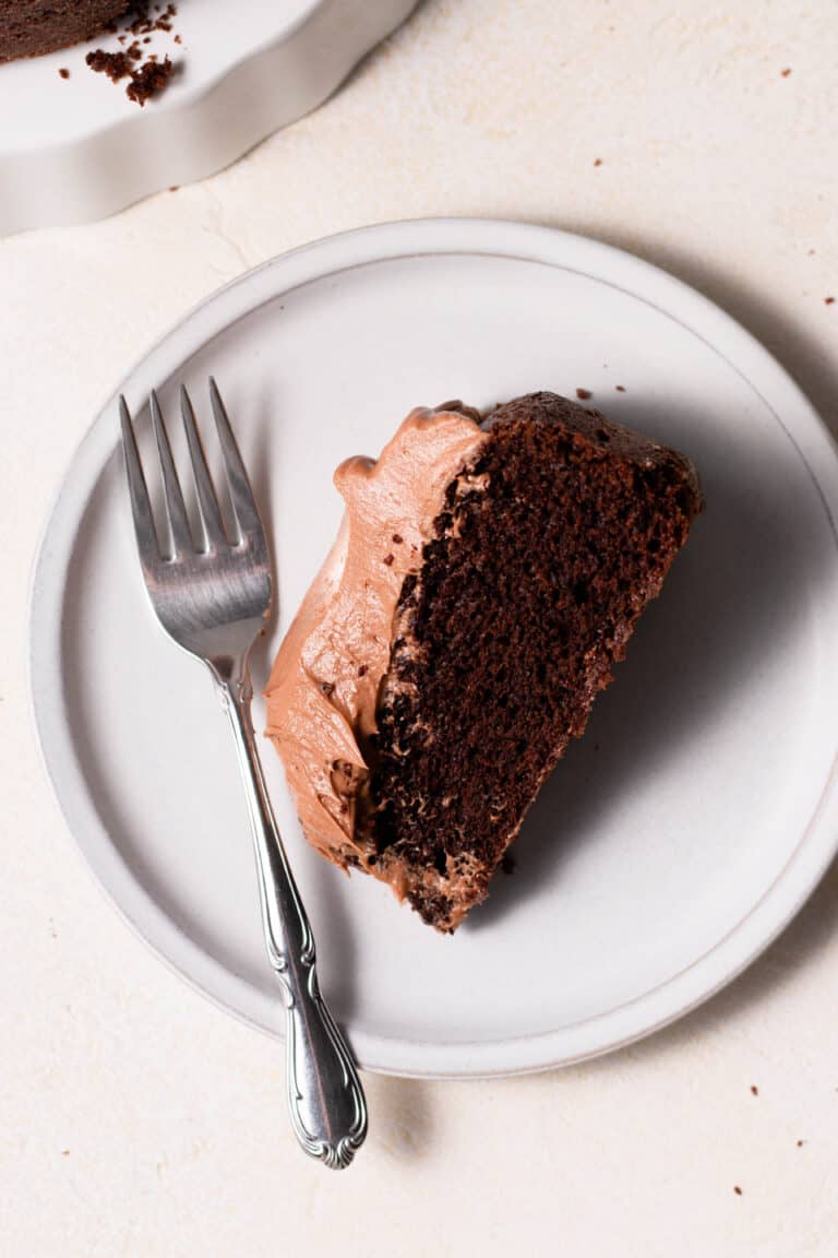 Super Moist OneLayer Chocolate Cake Sarah's Day Off