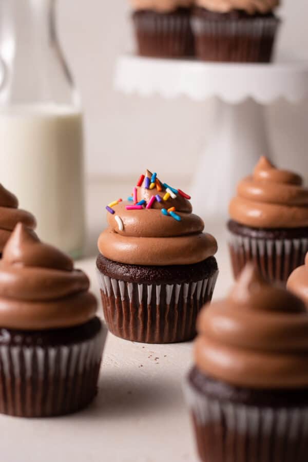 Chocolate Fudge Cupcakes Sarah's Day Off